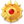 Thronebreaker Shield.png